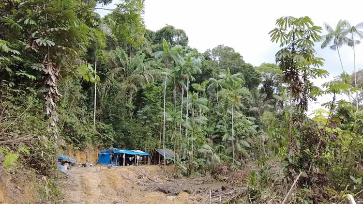 ব্রাজিল সরকার জানিয়েছে অবৈধ খনিগুলোতে কাজ করেন ৮০ হাজার থেকে আট লাখ মানুষ। ছবি: বিবিসি