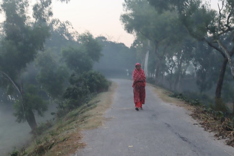 ভোরের কুয়াশার মধ্যে রাস্তা ধরে হাঁটছেন এক নারী। ছবি: আজকের পত্রিকা