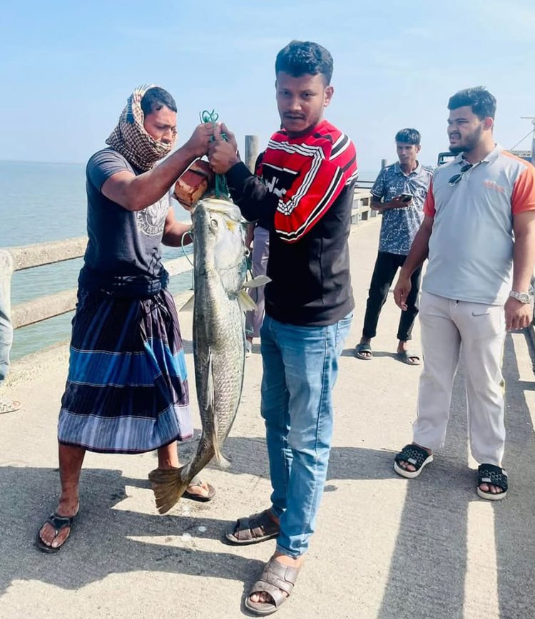 টেকনাফে বড়শিতে ধরা পড়েছে ২৫ কেজি ওজনের কোরাল। ছবি: আজকের পত্রিকা