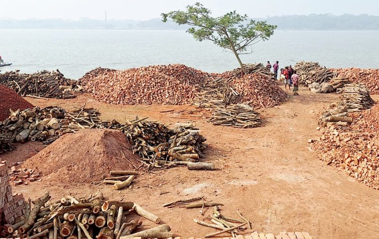 বেতাগী উপজেলা আওয়ামী লীগ সভাপতি গোলাম কবিরের আরএমবি নামের ইটভাটায় স্তূপ করে রাখা কয়েক হাজার মণ কাঠ। ছবি: আজকের পত্রিকা