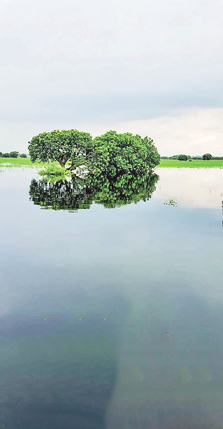 ছবি: লেখক