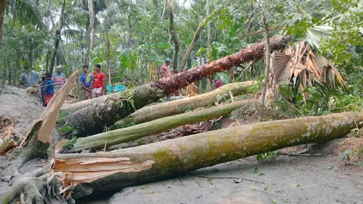 ঘূর্ণিঝড়-ৎ২