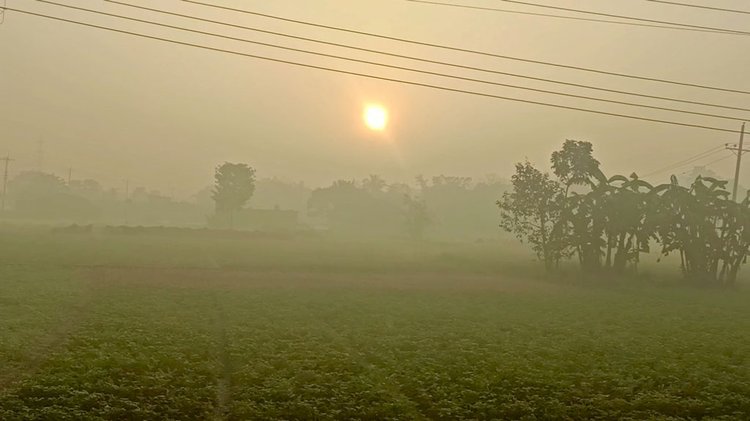 সকালের মিষ্টি রোদের উষ্ণতা এনে দিয়েছে স্বস্তি। ছবি: আজকের পত্রিকা